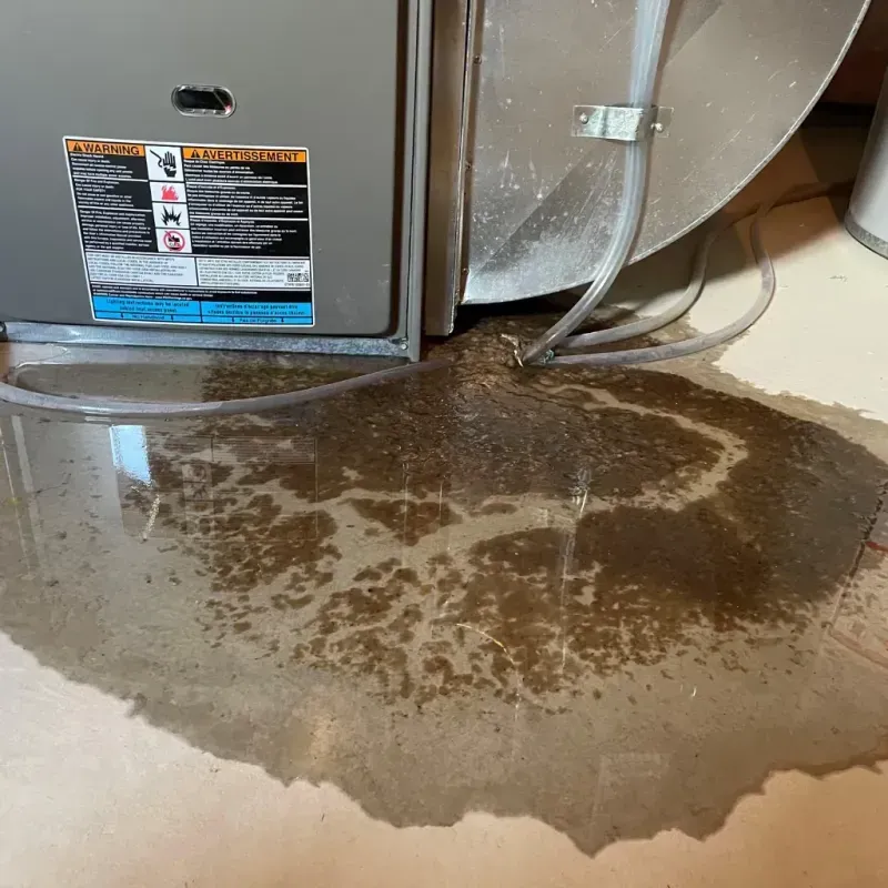 Appliance Leak Cleanup in Hueytown, AL